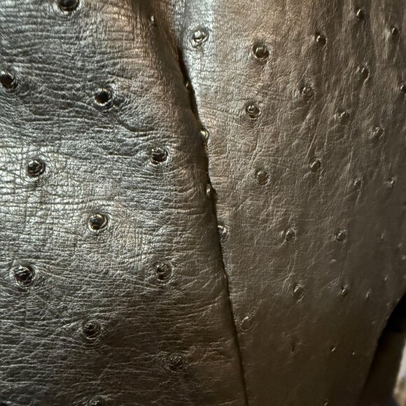 Unbelievable ZILLI Ostrich Leather Blazer 48 euro 38 us SMALL - Picture 3 of 9